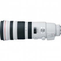 Canon EF 200-400mm 1:4,0 L IS USM + Extender 1,4x
