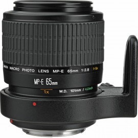 Canon MP-E 65mm 1:2,8 1-5fach Lupenobjektiv